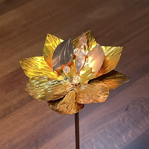 Baby Dragon Flower - Image 14