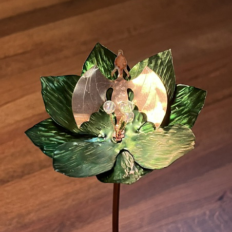 Baby Dragon Flower - Image 12